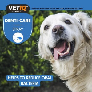 Vet IQ 2in1 Gum Shield Kedi Köpek Ağız Ve Diş Bakım Spreyi 100 Ml - 4