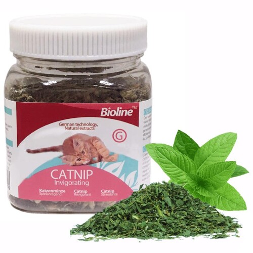 Bioline Catnip Doğal Kedi Otu 20 gr - 1