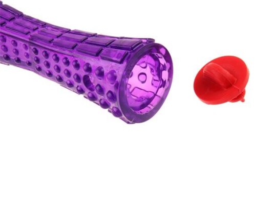 Gigwi Johnny Stick Ödül Muhafazalı Köpek Kemiği 20 cm - 4