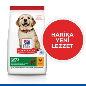 Hill's SCIENCE PLAN Büyük Irk Tavuklu Yavru Köpek Maması 2.5kg - 3