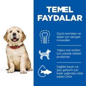 Hill's SCIENCE PLAN Büyük Irk Tavuklu Yavru Köpek Maması 14.5 kg - 4