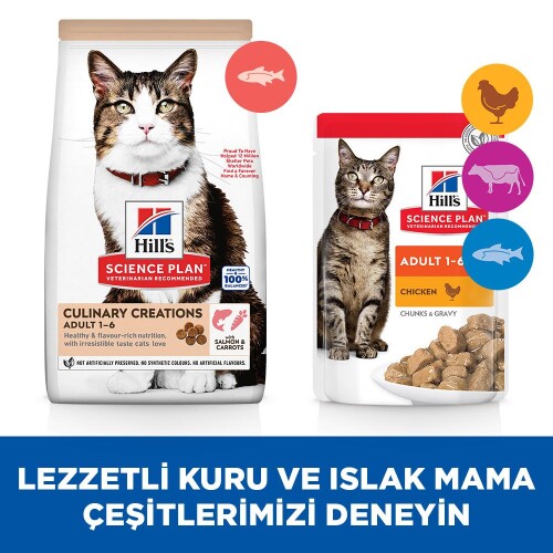 Hill's SCIENCE PLAN Gurme Lezzet Somonlu ve Havuçlu Yetişkin Kedi Maması 10kg - 6