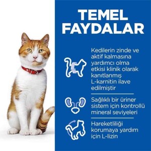 Hill's SCIENCE PLAN Kısırlaştırılmış Yetişkin Somonlu Kedi Maması 13+2kg - 3