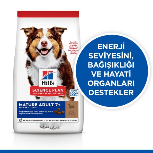 Hills Science Plan Mature Adult 7+ Orta Irk Kuzu Etli Yaşlı Köpek Maması 12 Kg (+2 Kg Hediyeli) - 4