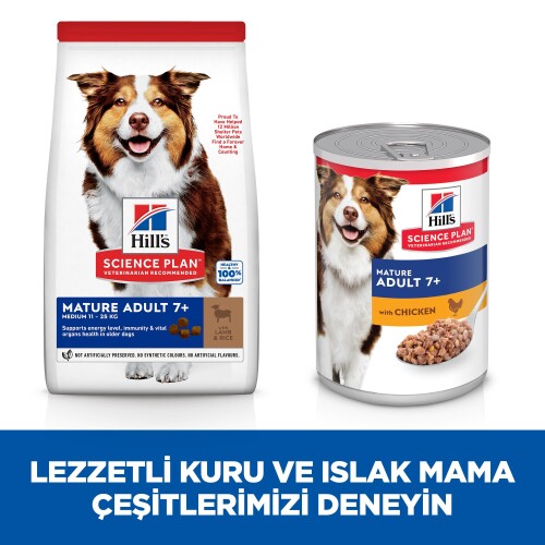 Hill's SCIENCE PLAN Light +7 Yaşlı Orta Irk Kuzulu ve Pirinçli Köpek Maması 12+2 kg - 3