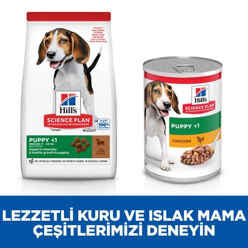 Hills Science Plan Puppy Lamb Kuzu Etli Yavru Köpek Maması 2,5 Kg - 4