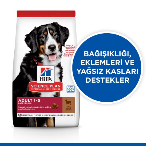 Hills Science Plan Büyük Irk Kuzu Etli Yetişkin Köpek Maması 12 Kg (+2 Kg Hediyeli) - 2