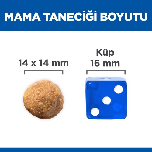 Hills Science Plan Büyük Irk Kuzu Etli Yetişkin Köpek Maması 12 Kg (+2 Kg Hediyeli) - 3