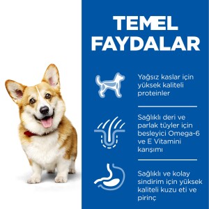 Hill's SCIENCE PLAN Yetişkin Küçük ve Mini Irk Kuzulu ve Pirinçli Köpek Maması 1,5 kg - 5