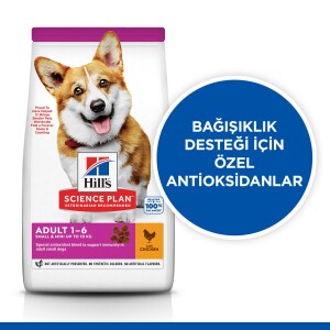 Hills Science Plan Small Miniature Tavuklu Küçük Irk Yetişkin Köpek Maması 1.5 KG - 2