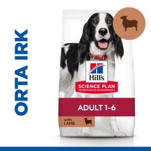 Hill's SCIENCE PLAN Yetişkin Orta Irk Kuzulu ve Pirinçli Köpek Maması 12+2 kg - 1