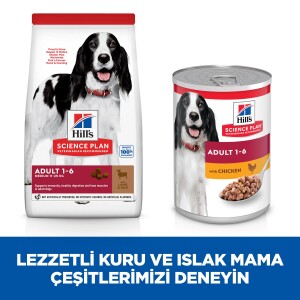 Hills Science Plan Adult Lamb&Rice Kuzu Etli Pirinçli Yetişkin Köpek Maması 2,5 Kg - 6