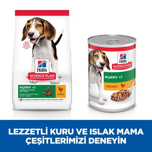 Hills Tavuklu Yavru Köpek Konserve Maması 370 Gr - 5