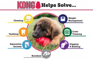 Kong Classic Köpekler İçin Isırma Oyuncağı XL - 3