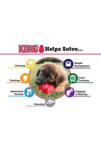 Kong Senior S Yaşlı Köpek Oyuncağı - 4