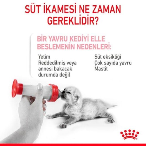 Royal Canin Babydog Milk Yavru Köpek Süt Tozu Kiti 400 Gr - 3