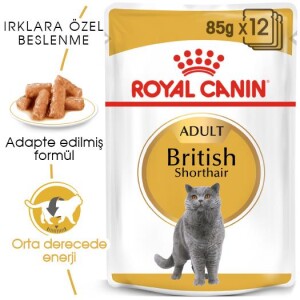 Royal Canin British Shorthair Adult Pouch Yetişkin Kedi Konservesi 85 Gr - 7