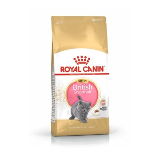 Royal Canin British Shorthair Için Özel Yavru Kedi Mamasi 2 Kg - 1