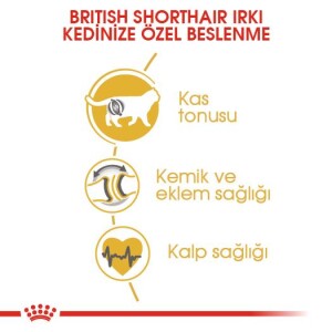 Royal Canin British Shorthair İçin Özel Yetişkin Kedi Maması 10 Kg - 4