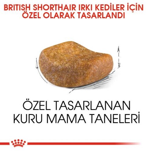 Royal Canin British Shorthair İçin Özel Yetişkin Kedi Maması 10 Kg - 5