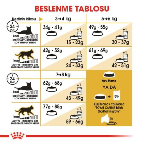 Royal Canin British Shorthair İçin Özel Yetişkin Kedi Maması 10 Kg - 2