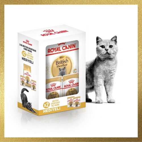 Royal Canin British Shorthair Yetişkin Kedi Maması 2 Kg 2 Adet Pouch Hediyeli - 1