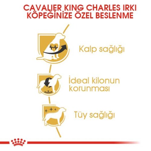 Royal Canin Cavalier King Charles Yetişkin Köpek Mamasi 1,5 Kg - 2