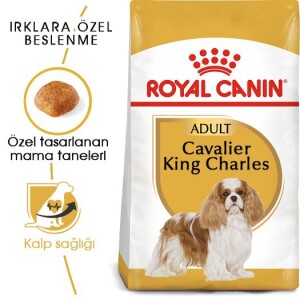 Royal Canin Cavalier King Charles Yetişkin Köpek Mamasi 1,5 Kg - 7