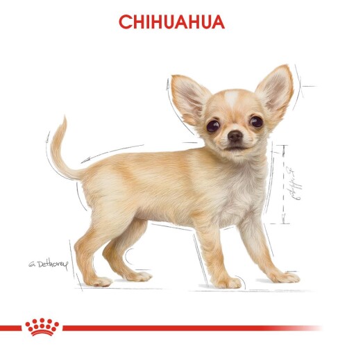 Royal Canin Chihuahua Puppy Yavru Köpek Maması 1,5 Kg - 7