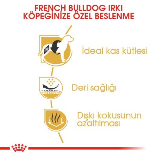 Royal Canin French Bulldog Yetişkin Köpek Maması 3 Kg - 4