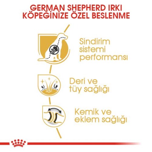 Royal Canin German Shepherd Adult Alman Kurduna Özel Yetişkin Köpek Mamasi 11 Kg - 3