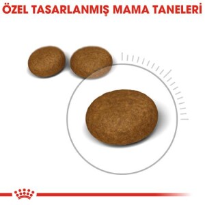 Royal Canin Hair & Skin Hassas Tüylü Kediler İçin Mama 2 Kg - 2