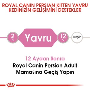 Royal Canin Kitten Persian 32 Yavru Iran Kedilerine Özel Mama 2 Kg - 3