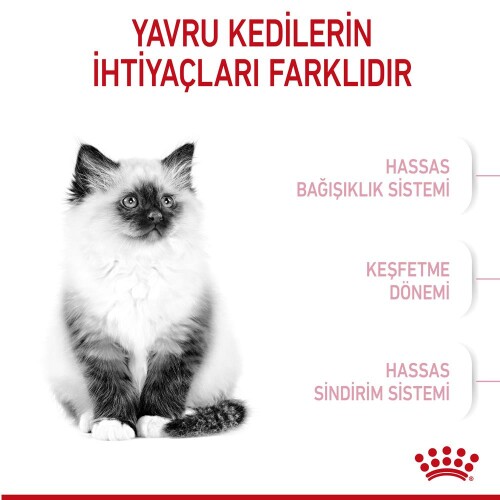 Royal Canin Kitten Yavru Kedi Mamasi 4 Kg - 2