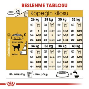 Royal Canin Labrador Retriever Köpek Maması 12 Kg - 5