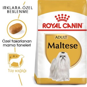 Royal Canin Maltese Terrier Adult Köpek Mamasi 1,5 Kg - 7