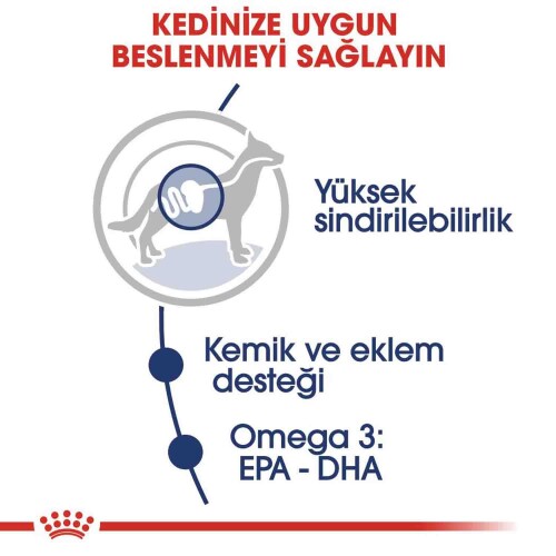 Royal Canin Maxi Adult Büyük Irk Yetişkin Köpekler İçin Parça Etli Konserve Mama 140 Gr * 10 Adet - 3