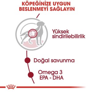 Royal Canin Medium Adult Orta Irk Yetişkin Köpekler İçin Parça Etli Yaş Mama 140 Gr * 10 Adet - 4