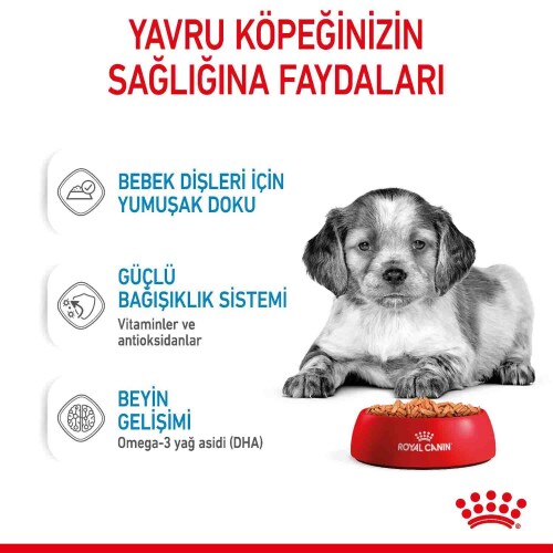 Royal Canin Medium Puppy Orta Irk Yavru Köpekler İçin Parça Etli Konserve Mama 140 Gr * 10 Adet - 4