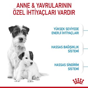 Royal Canin Mini Starter Yavru Köpek Maması 4 KG - 2