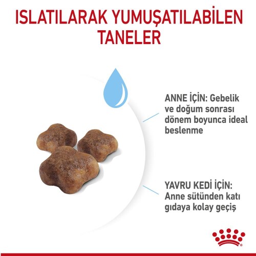 Royal Canin Mother&Baby Cat 34 Anne Ve Yavru Kedi Maması 2 Kg - 4