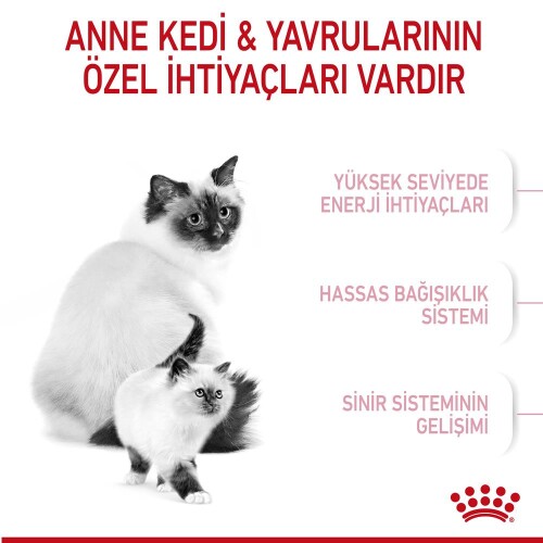 Royal Canin Mother&Baby Cat 34 Anne Ve Yavru Kedi Maması 2 Kg - 6