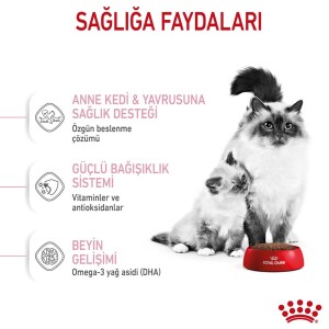 Royal Canin Mother&Baby Cat 34 Anne Ve Yavru Kedi Maması 2 Kg - 5