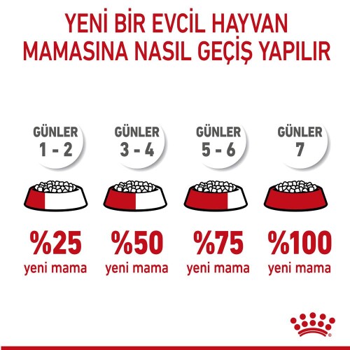 Royal Canin Mother&Baby Cat 34 Anne Ve Yavru Kedi Maması 2 Kg - 8