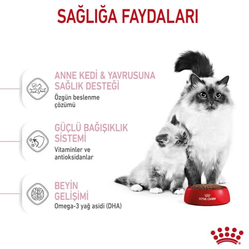 Royal Canin Mother&Baby Cat 34 Anne Ve Yavru Kedi Maması 4 Kg - 6