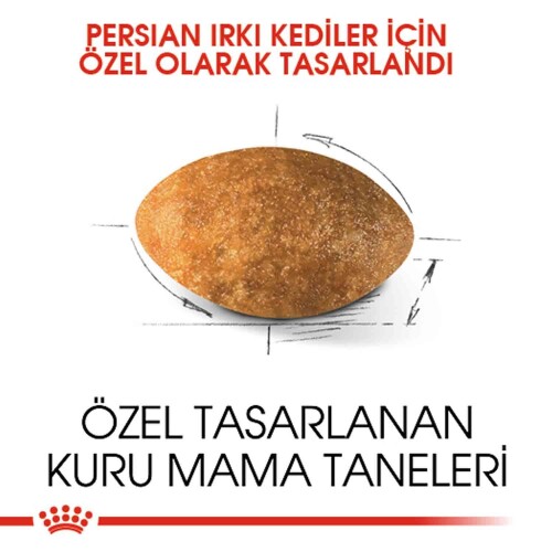 Royal Canin Persian 30 Iran Kedilerine Özel Yetişkin Kedi Mamasi 10 Kg - 2