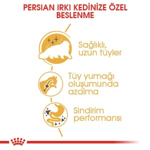 Royal Canin Persian 30 Iran Kedilerine Özel Yetişkin Kedi Mamasi 10 Kg - 3