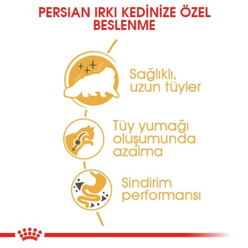 Royal Canin Persian 30 Iran Kedilerine Özel Yetişkin Kedi Mamasi 10 Kg - 3