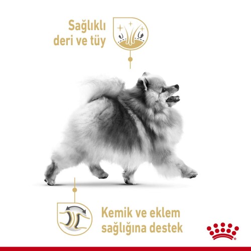 Royal Canin Pomeranian Yetişkin Köpek Irk Maması 1.5 Kg - 6