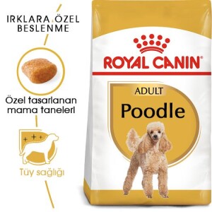 Royal Canin Poodle Adult Yetişkin Köpek Maması 3 Kg - 8